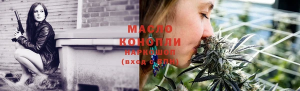 крисы Новодвинск