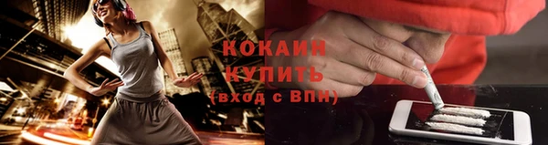 крисы Новодвинск