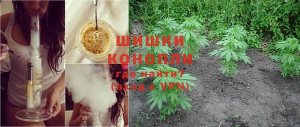 крисы Новодвинск