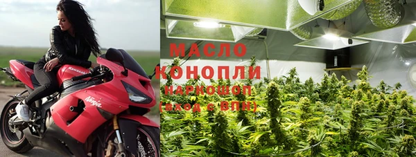 крисы Новодвинск