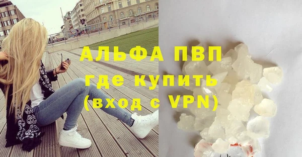 каннабис Новозыбков