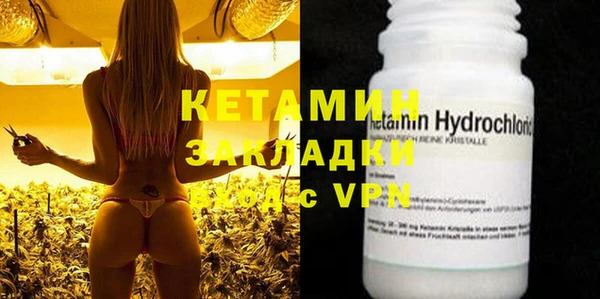 крисы Новодвинск