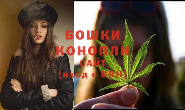 крисы Новодвинск