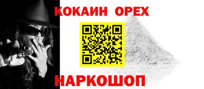 амф Камышлов
