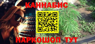 амф Камышлов