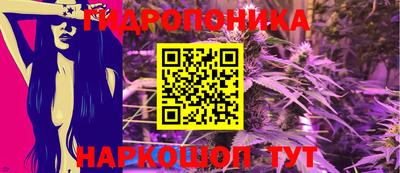 амф Камышлов