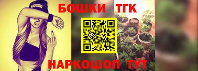 прущие крисы Канаш