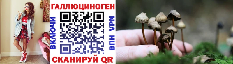 Псилоцибиновые грибы Psilocybine cubensis  купить наркоту  Семилуки 
